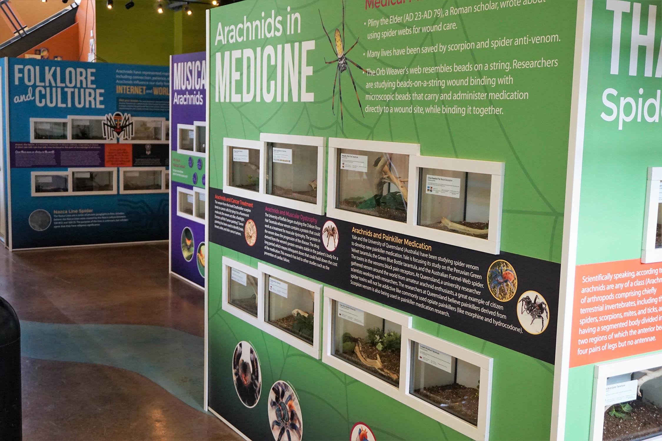 New Brookfield Zoo Exhibit Highlights ‘Amazing Arachnids’ Chicago